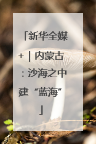 新华全媒+｜内蒙古：沙海之中建“蓝海”